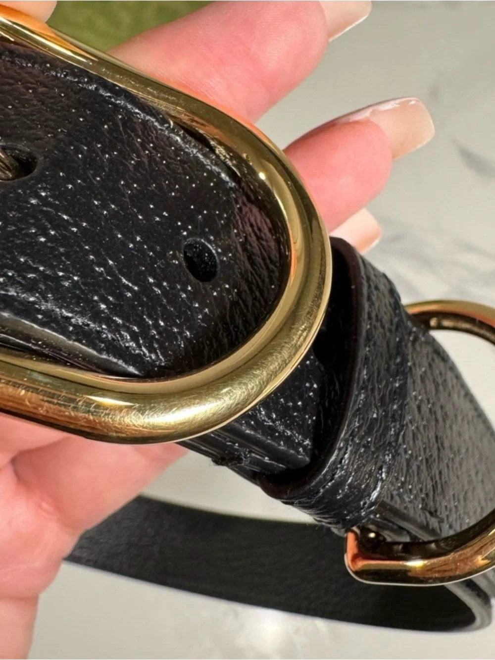 Authentic NEW Beautiful Black Leather Gucci Dog Collar w/ box Size XL